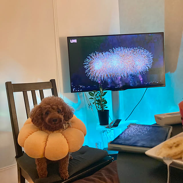 MOMOMAMAさんの部屋
