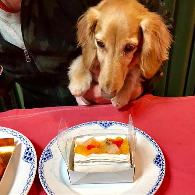 yurincaさんの実例写真