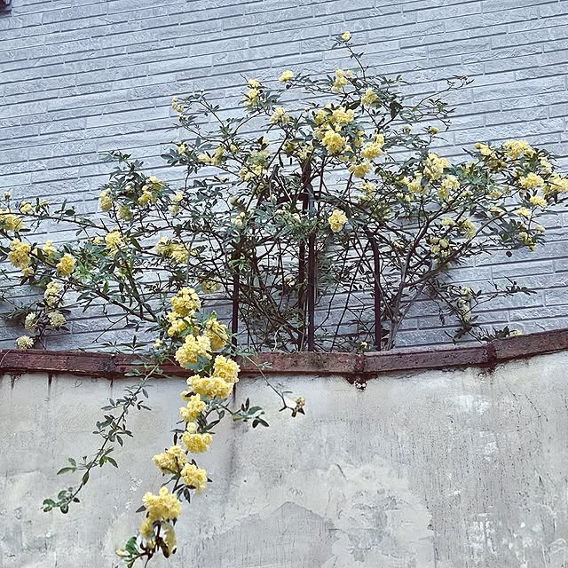 mocomocoさんの部屋