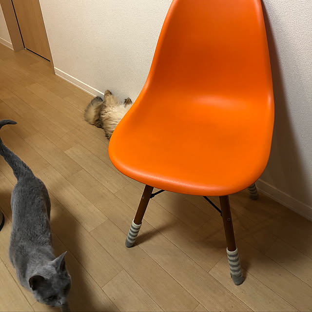 meさんの実例写真