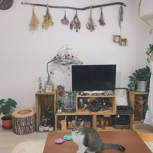 ai_my_meさんの実例写真