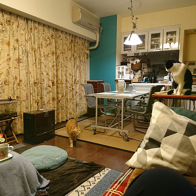 okyosan101さんの実例写真