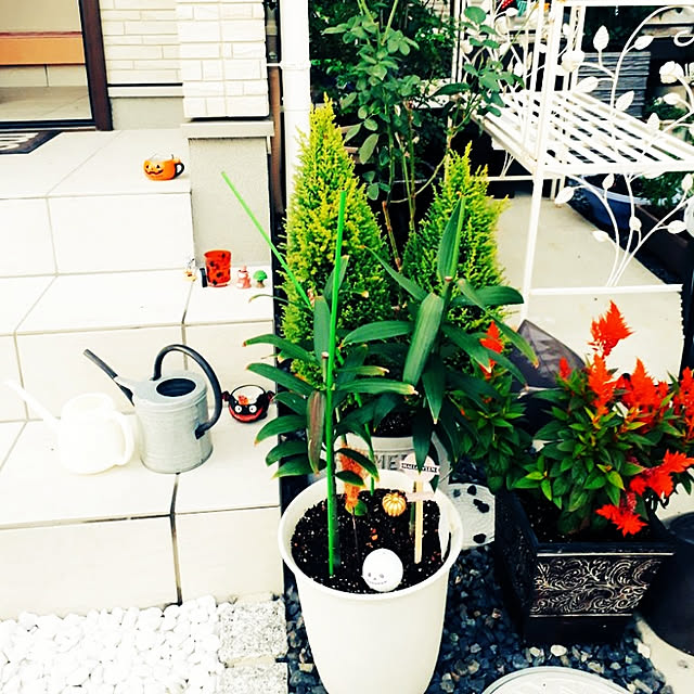 aiさんの実例写真