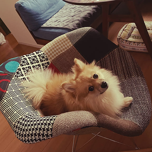 hanaさんの実例写真