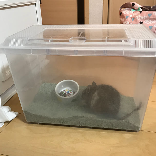 meshiさんの実例写真