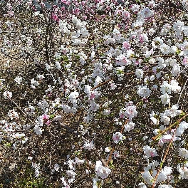 minnieさんの部屋