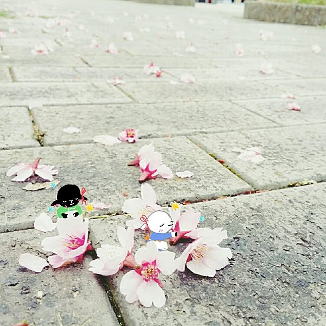 moco-mocoさんの実例写真