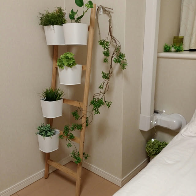 waokitsuneさんの実例写真