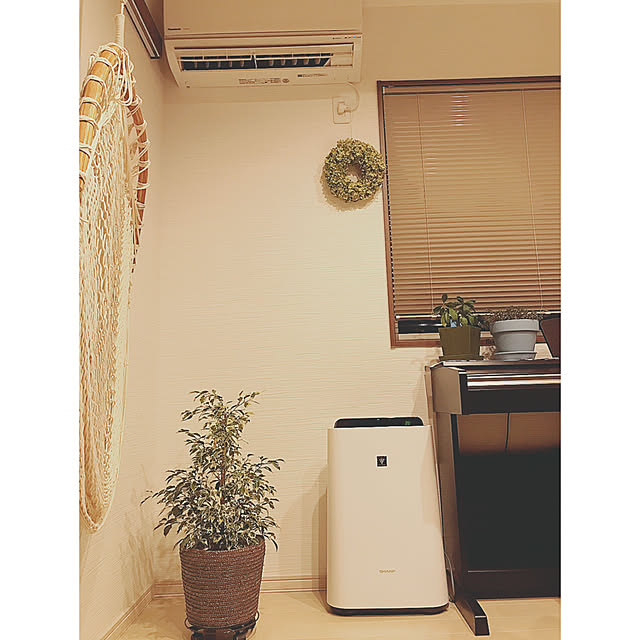 sayさんの実例写真