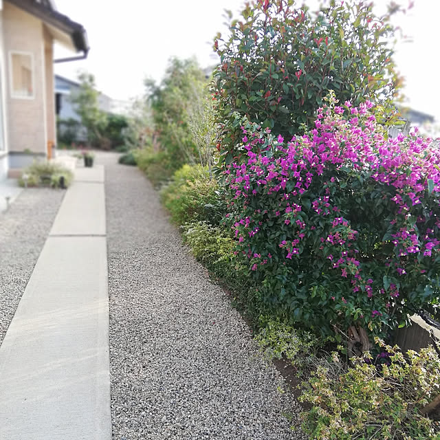ayanasu.321さんの実例写真