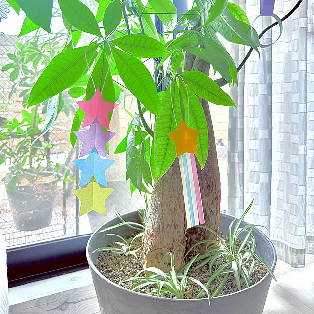 funiさんの部屋