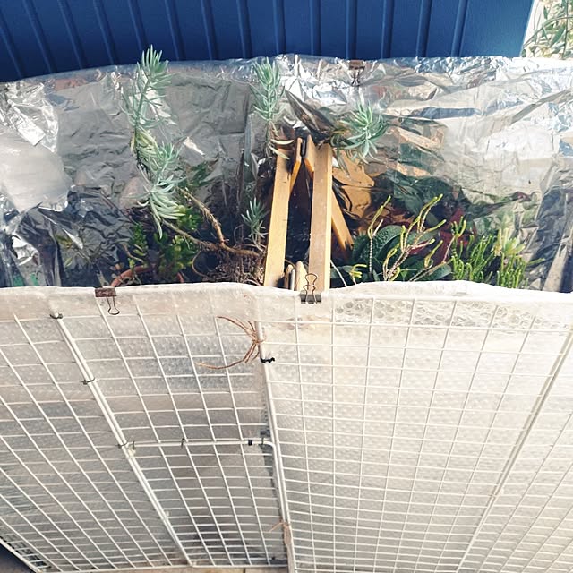 urchinさんの部屋