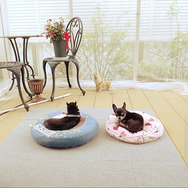 Bienvenueさんの部屋