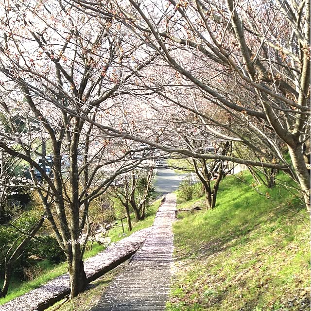 Enさんの実例写真