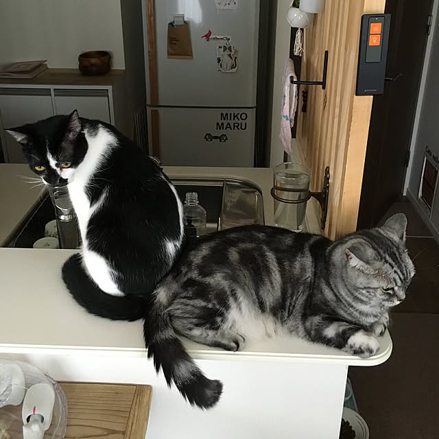 mikomaruさんの実例写真