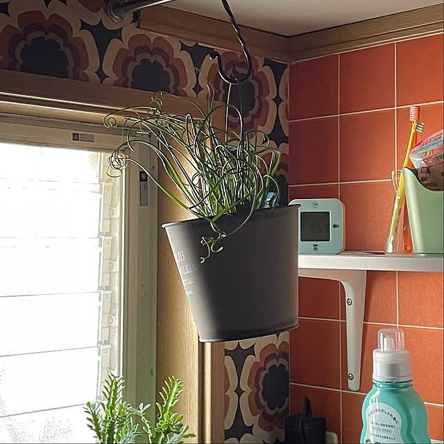 nobikoさんの部屋