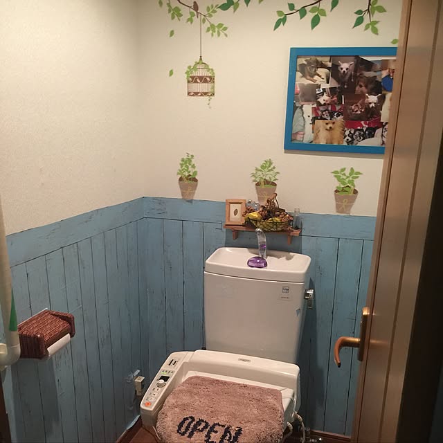 実例写真