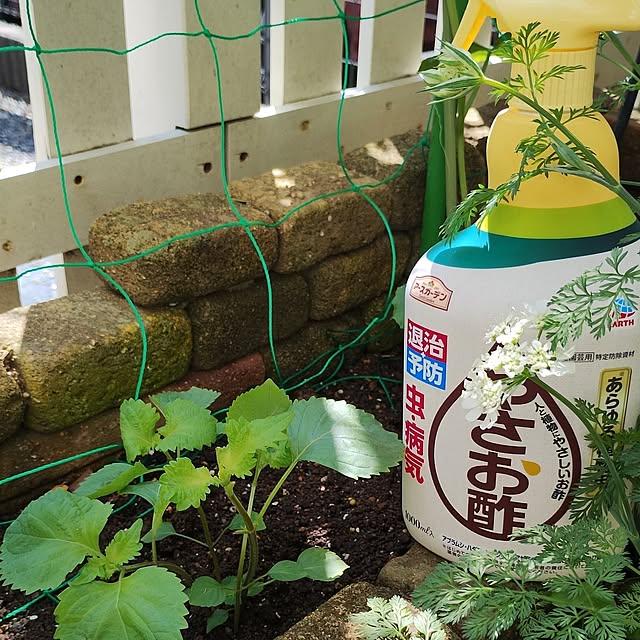 kana_ciiさんの実例写真