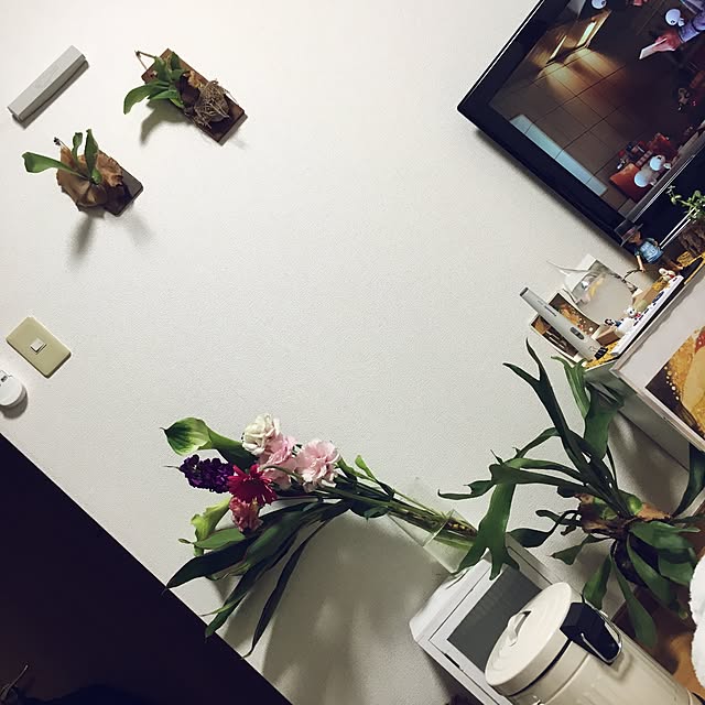 chanさんの実例写真