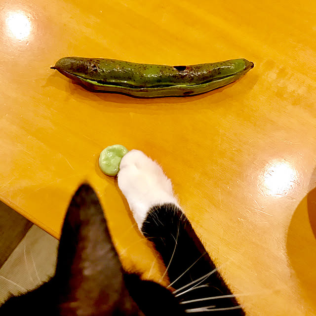 pooさんの実例写真