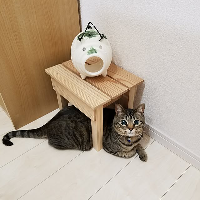t-famさんの実例写真