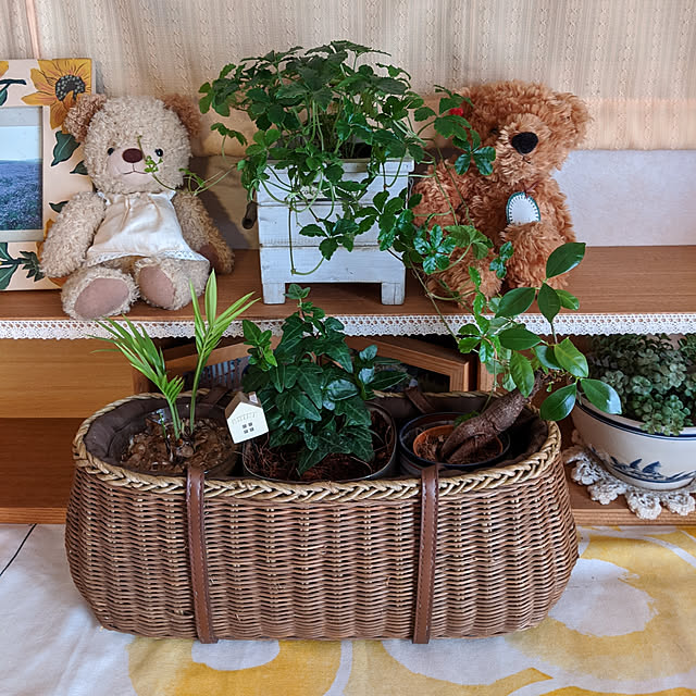 kouheiyuto24623takaさんの実例写真