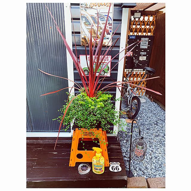 akipuさんの実例写真
