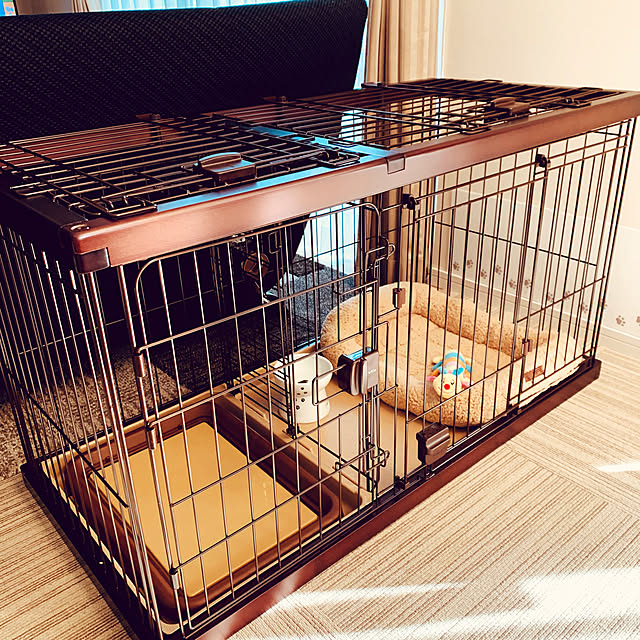 petitさんの実例写真