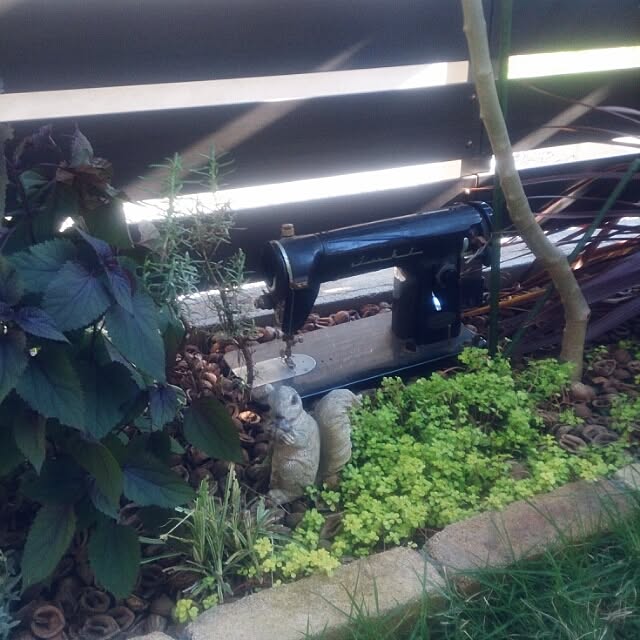 kyotaさんの実例写真