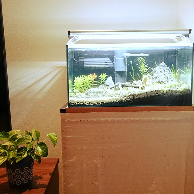 tk_home_さんの実例写真