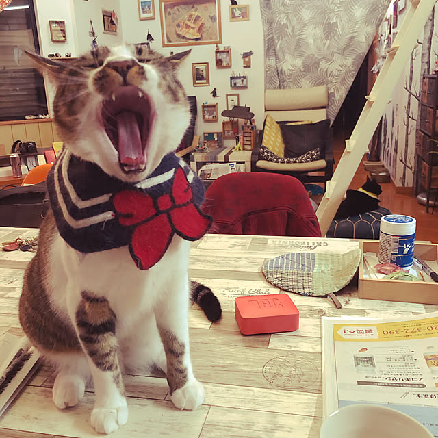 jijiさんの実例写真