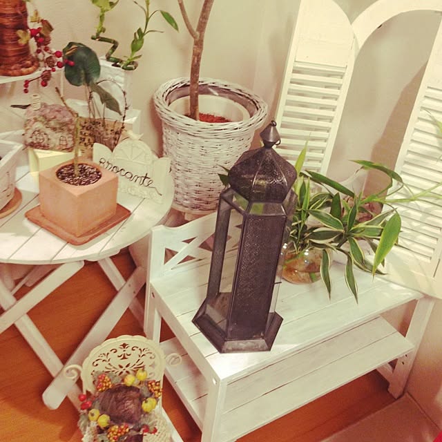 marikaさんの実例写真