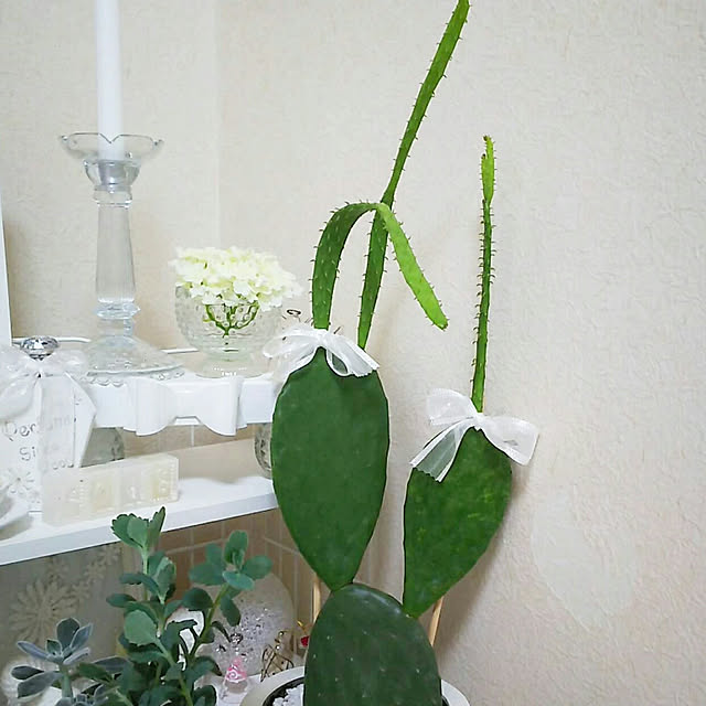...t_m_eee...さんの実例写真