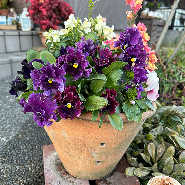 ritsukoさんの部屋