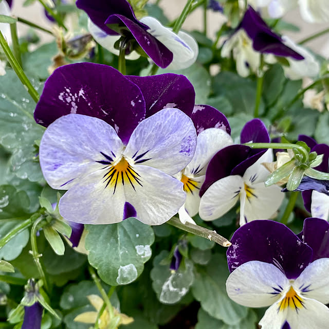 YuuKoさんの部屋