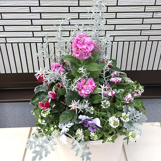 nonさんの実例写真