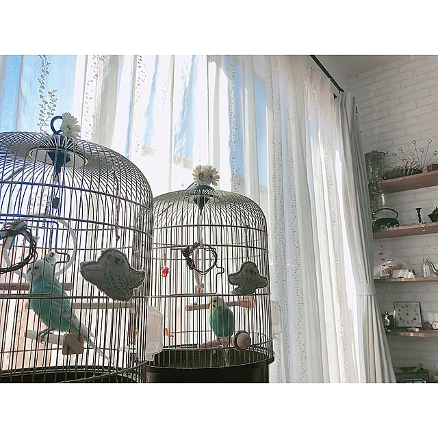 ponponHOUSEさんの実例写真