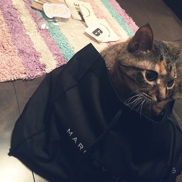 maiさんの実例写真