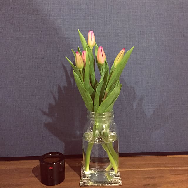 Yayoさんの実例写真