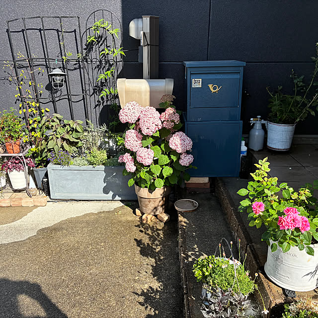 kikiさんの部屋