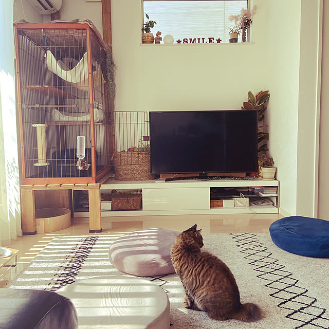 gachaさんの部屋