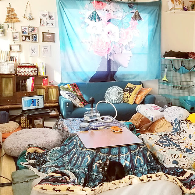 airuhinaさんの実例写真