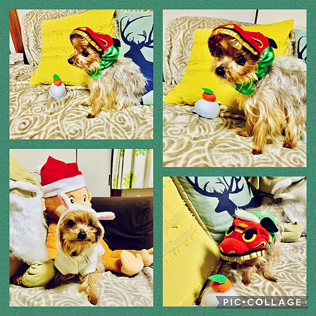 CoCo0617さんの実例写真
