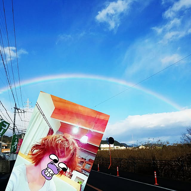 実例写真