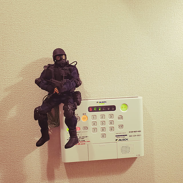 kakuさんの実例写真