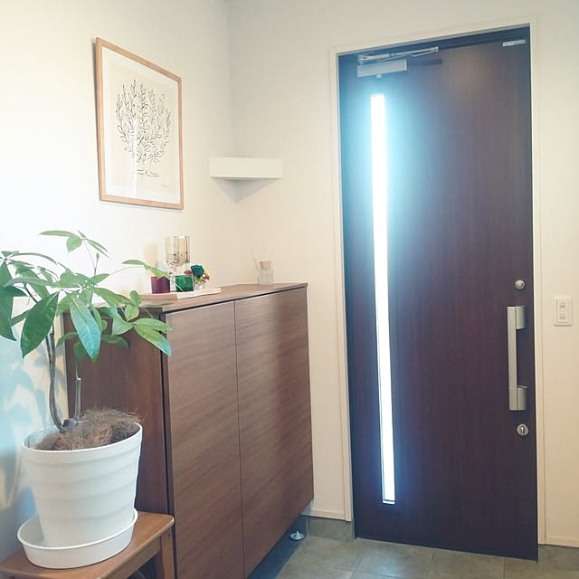 tan5さんの実例写真