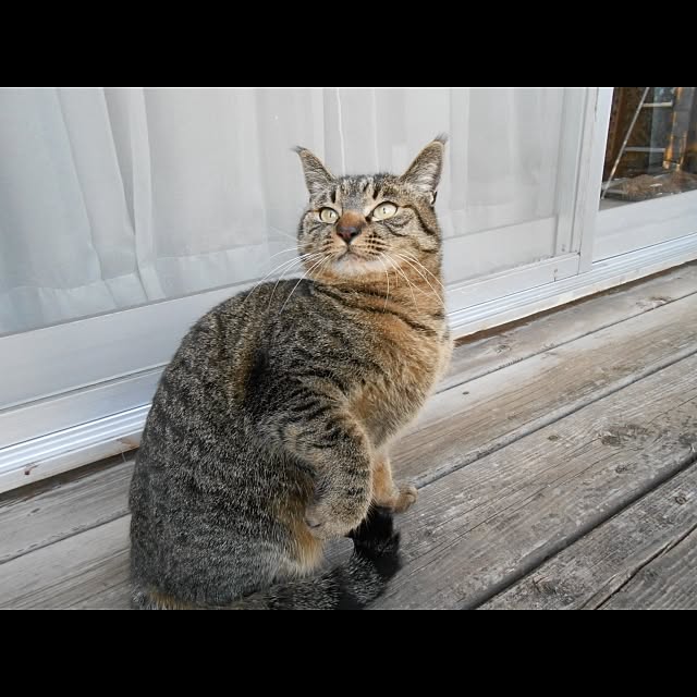 Keikoさんの実例写真