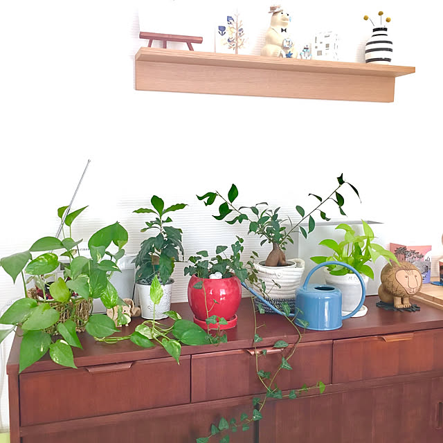 sou721さんの実例写真