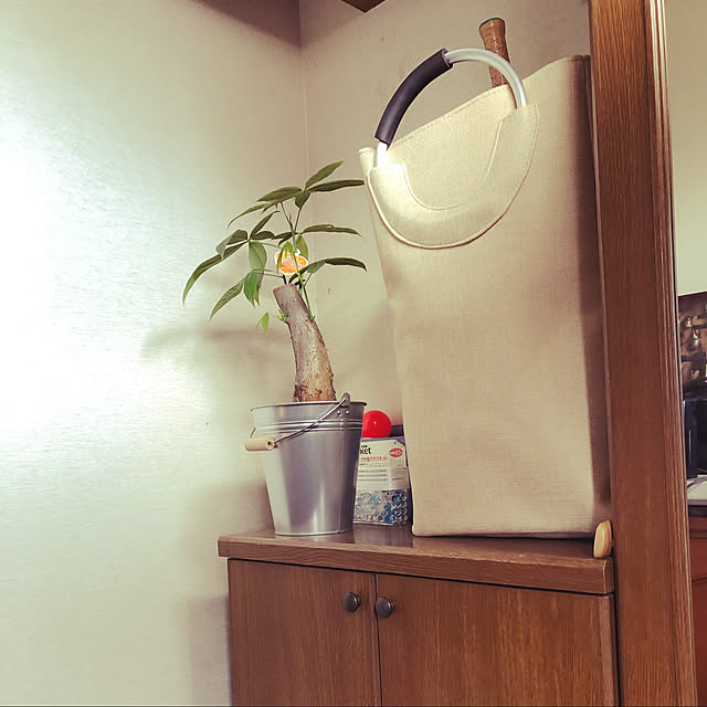 Sayuriさんの実例写真