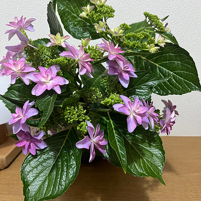 nannoさんの実例写真